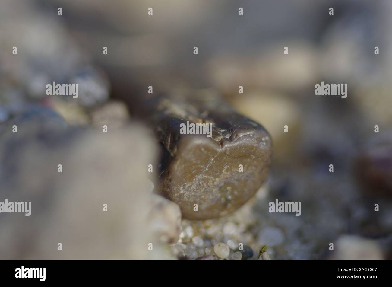 Close-up view of a small stone on sand Stock Photo