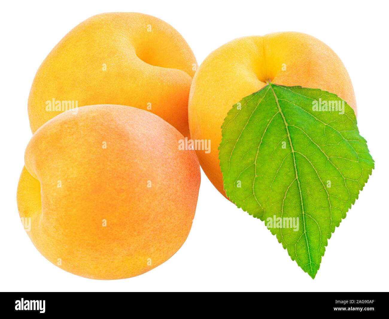 Apricot isolated on white background. Clipping Path Stock Photo - Alamy
