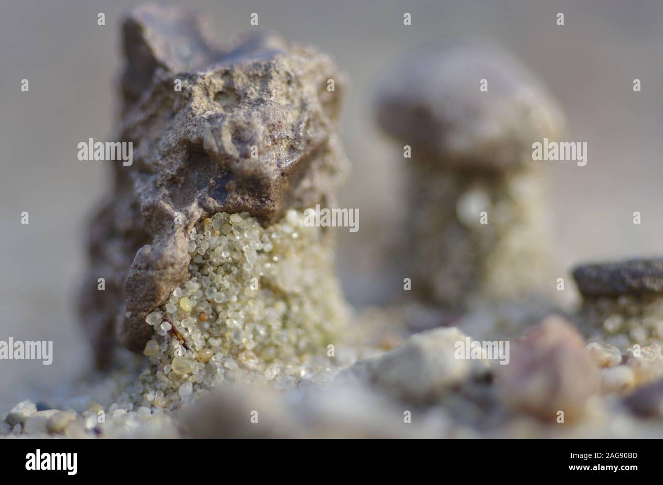 Close-up view of a small stone on sand Stock Photo