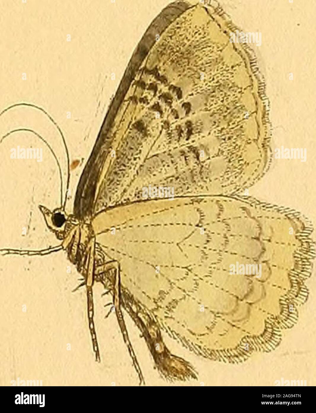 Alaz High Resolution Stock Photography And Images Alamy