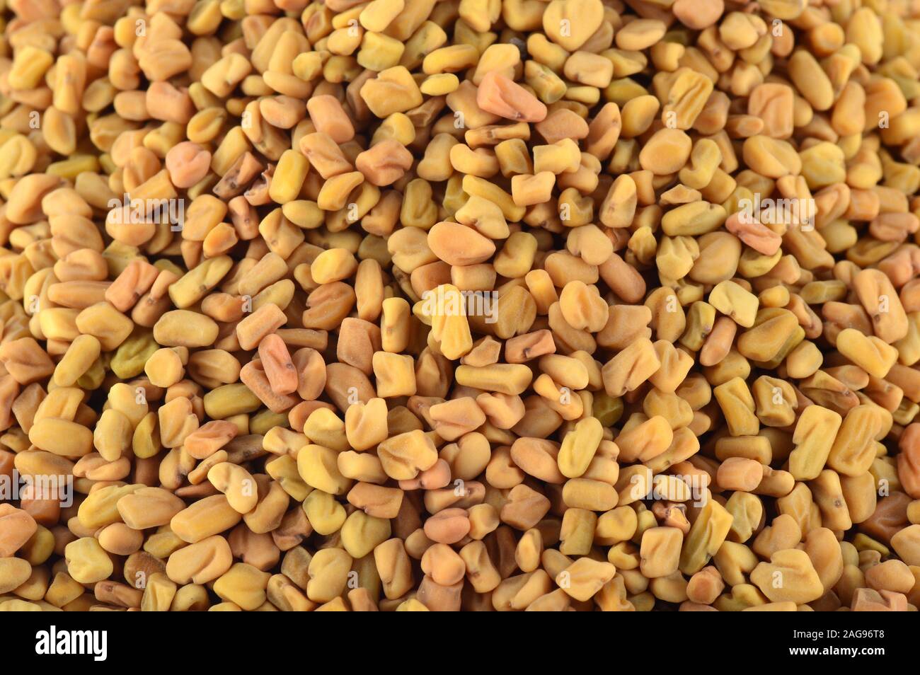 Fenugreek seeds as background. Close up texture Stock Photo