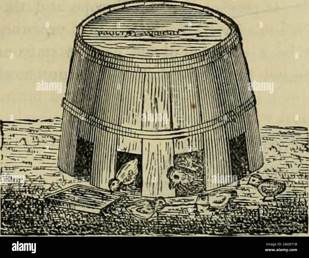 . The American farmer. A complete agricultural library, with useful facts for the household, devoted to farming in all its departments and details. no. 1. BARREL COOP.. Stock Photo