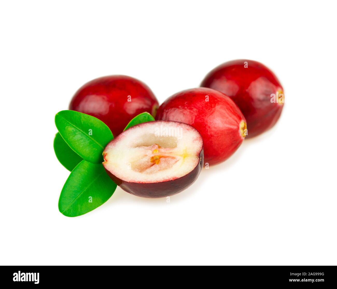 Cranberries red acid berry with green leaves on white background Stock