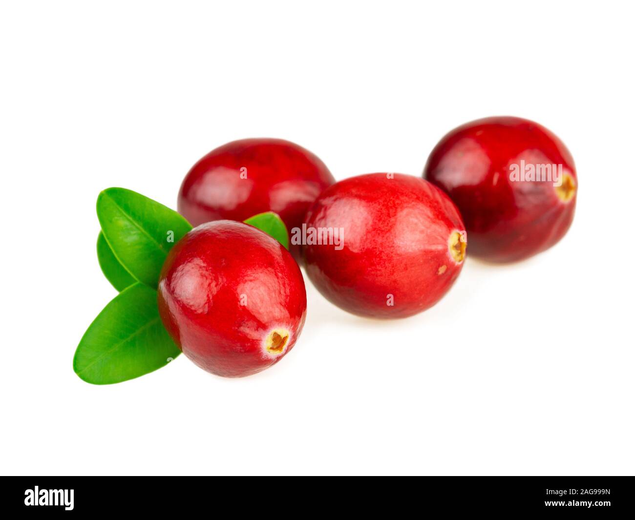 Cranberries Red Fresh Cranberry With Green Leaf On White Background Stock Photo