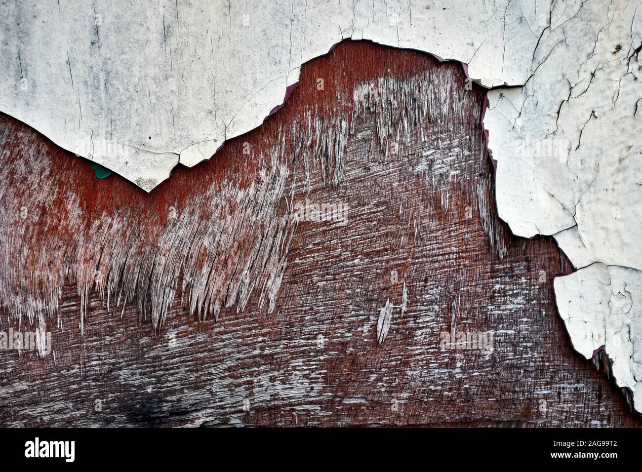 A close up of a piece of old plywood that at one time was painted white with its first layer beginning to rot away exposing the next layer below Stock Photo