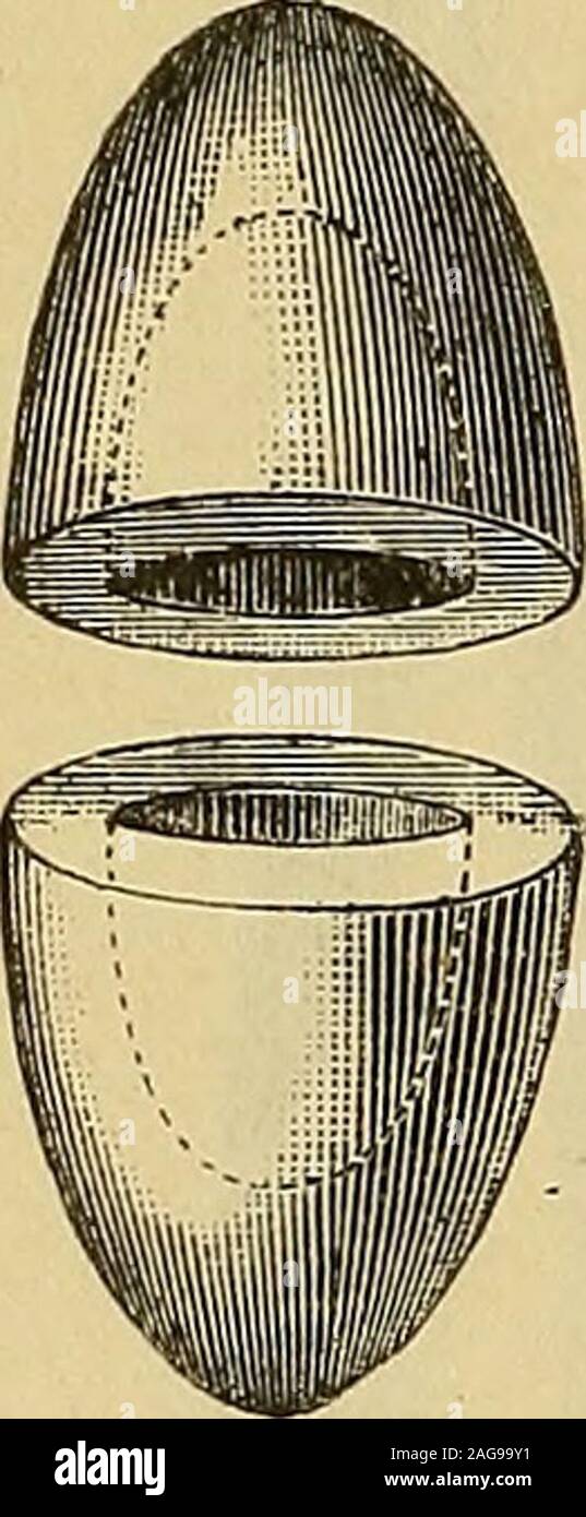 . Arzneiverordnungslehre für Studierende und Ärzte. Sogenannte englische HoUsuppositorien aus Kakaobutter von Spitzkugelformmit nach aussen spitzem Operculum, mit flachem Operculum. kugeln vor. Bei der in Fig. 158 abgebildeten Form werden die beidenHälften nach Einfüllen der Arznei unter Erwärmen aufeinander ge-presst, wobei sie fest verkleben. Fig. 161 zeigt Kakaobutterhülsen zu Fi^. 158.. Stock Photo