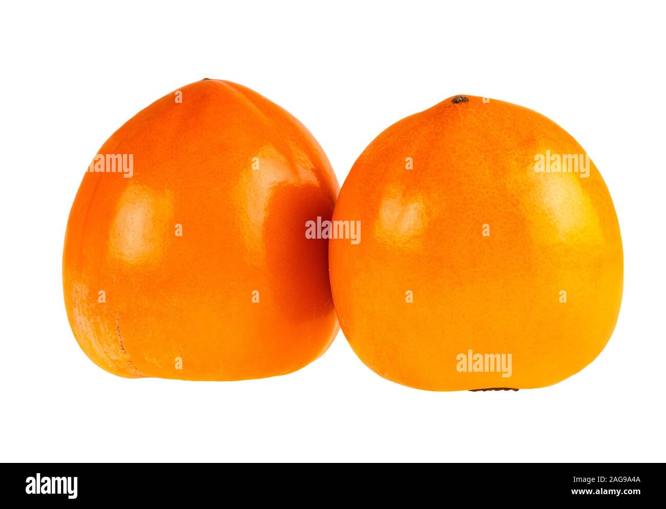 Two Persimmon Whole Fruit Closeup Isolated On White. Persimmon Retouched Image. Stock Photo