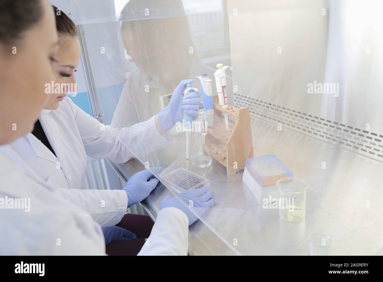 Two young female Laboratory scientists working at lab with test tubes ...