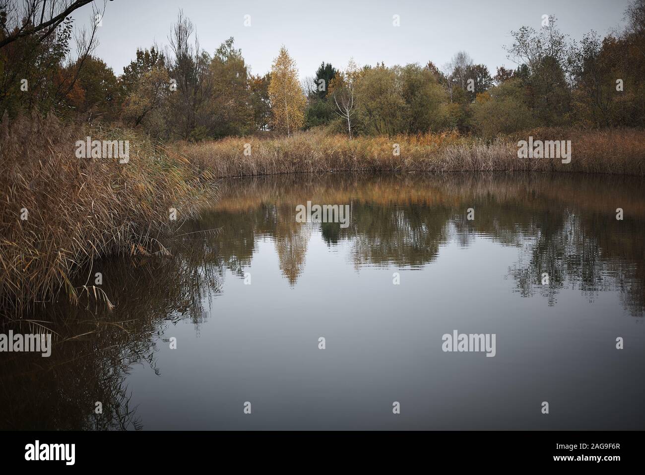 Beautiful shot of a lake in the forest with the reflection of the trees ...