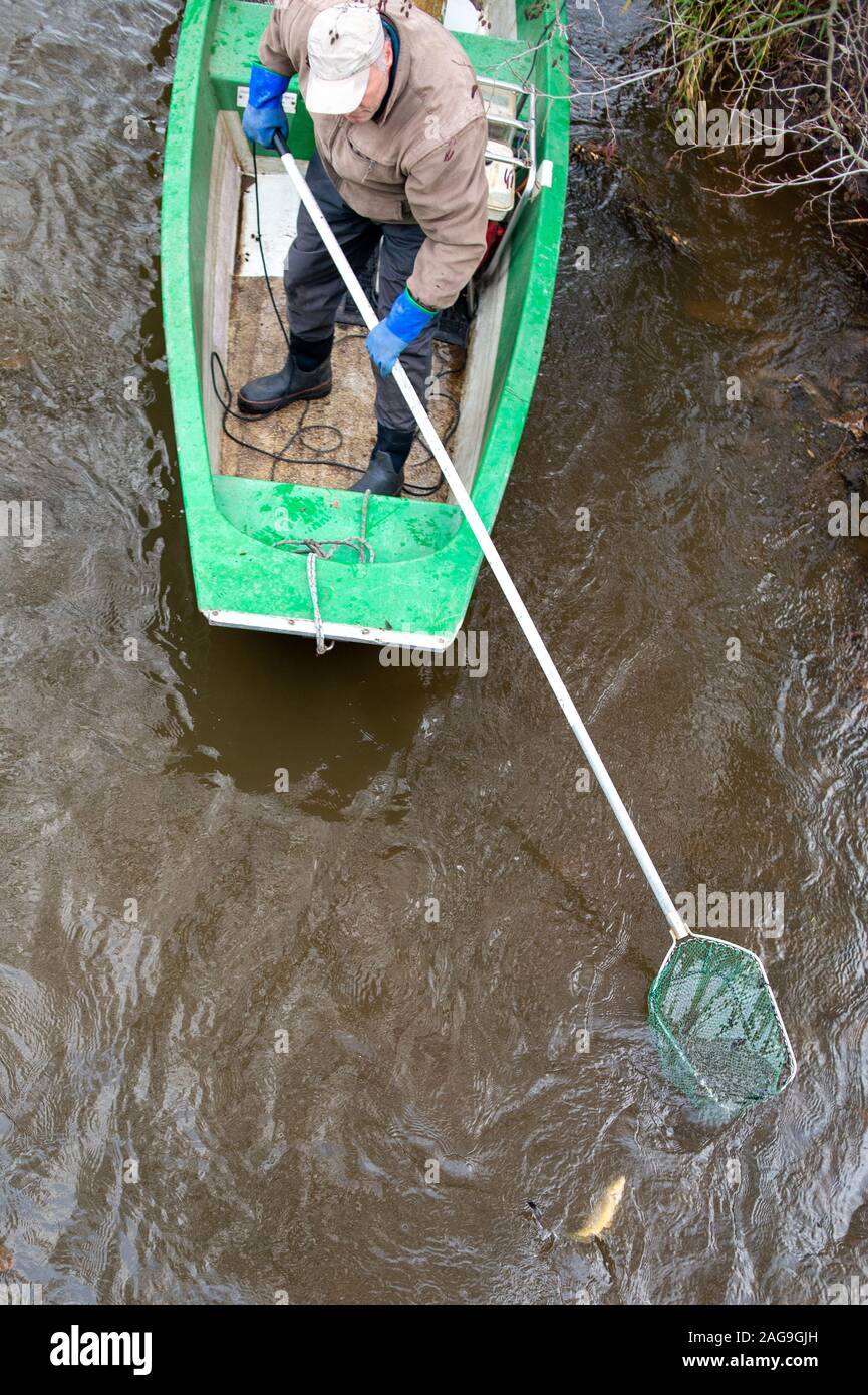 Nutha, Germany. 18th Dec, 2019. Robert Frenzel from the Institute for Inland Fisheries drives down the river Nuthe on a boat with an electric fishing gear. The fisherman shall conduct a trial fishery to catch spawning salmon and sea trout and thus prove their return. In the Nuthe a total of 143500 young salmon and 90300 sea trout hatchlings have been released so far. From there, the fish migrate to the Atlantic and return to spawn after a few years. Credit: Klaus-Dietmar Gabbert/dpa-Zentralbild/ZB/dpa/Alamy Live News Stock Photo