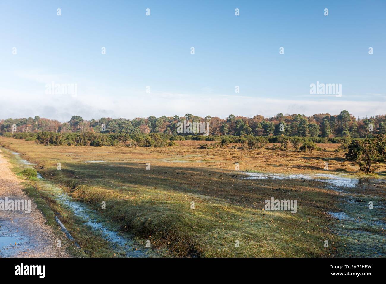 Brockenhurst new forest hi-res stock photography and images - Alamy