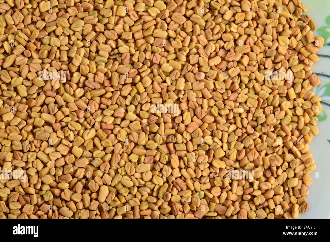Fenugreek seeds as background. Close up texture Stock Photo