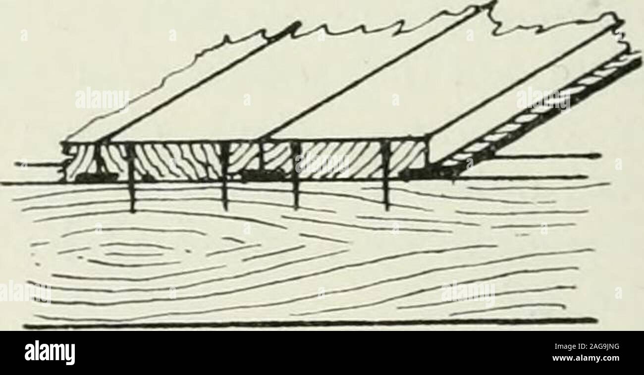Public Health And Preventive Medicine Grooved Tongued Floor