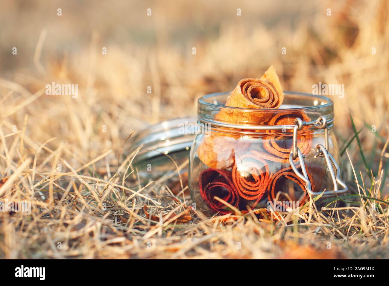 Glass jar with fruit pastille roll-up on a natural grassy background. The concept of healthy organic sweets, proper nutrition, zero waste, vegan. Stock Photo