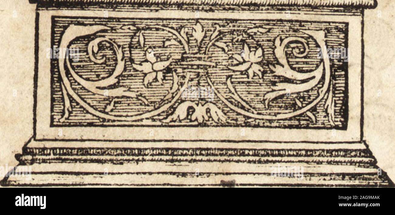 . Prodigiorvm ac ostentorvm chronicon : quae praeter naturae ordinem, motum, et operationem, et in svperioribus & his inferioribus mundi regionibus, ab exordio mundi usque ad haec nostra tempora, acciderunt .... REsdigna admirati 1001one cft, qd Romac. in teplo Lateranefbubihabetur fepulchru Syl*ueftri fecundi PotificisRomani, feputchru idcollifione oli ium, cV fu*dore cmiffo ab eo tcpore, quo is in id quondapofituseft,dicitur femper Pontificum mortem praedixiffe.Dehoc Sylueftri fecundo, quomodo diaboli beneficio affequutusf ueritpontificatu m confule Hiftoriographos. I —*- JT^ Irca hacc tcmpo Stock Photo