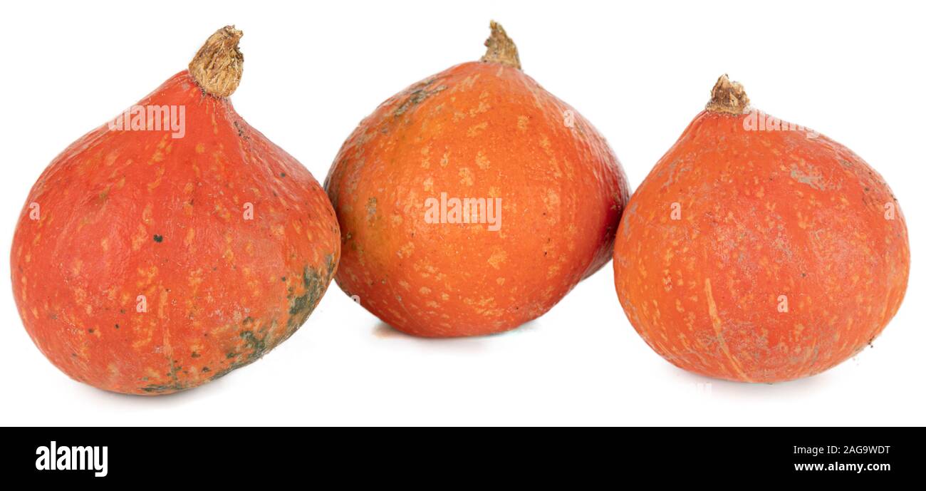 Three isolated pumpkins on a white background Stock Photo