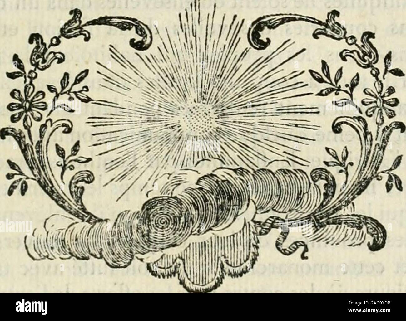 Page 10 La Litterature High Resolution Stock Photography And Images Alamy