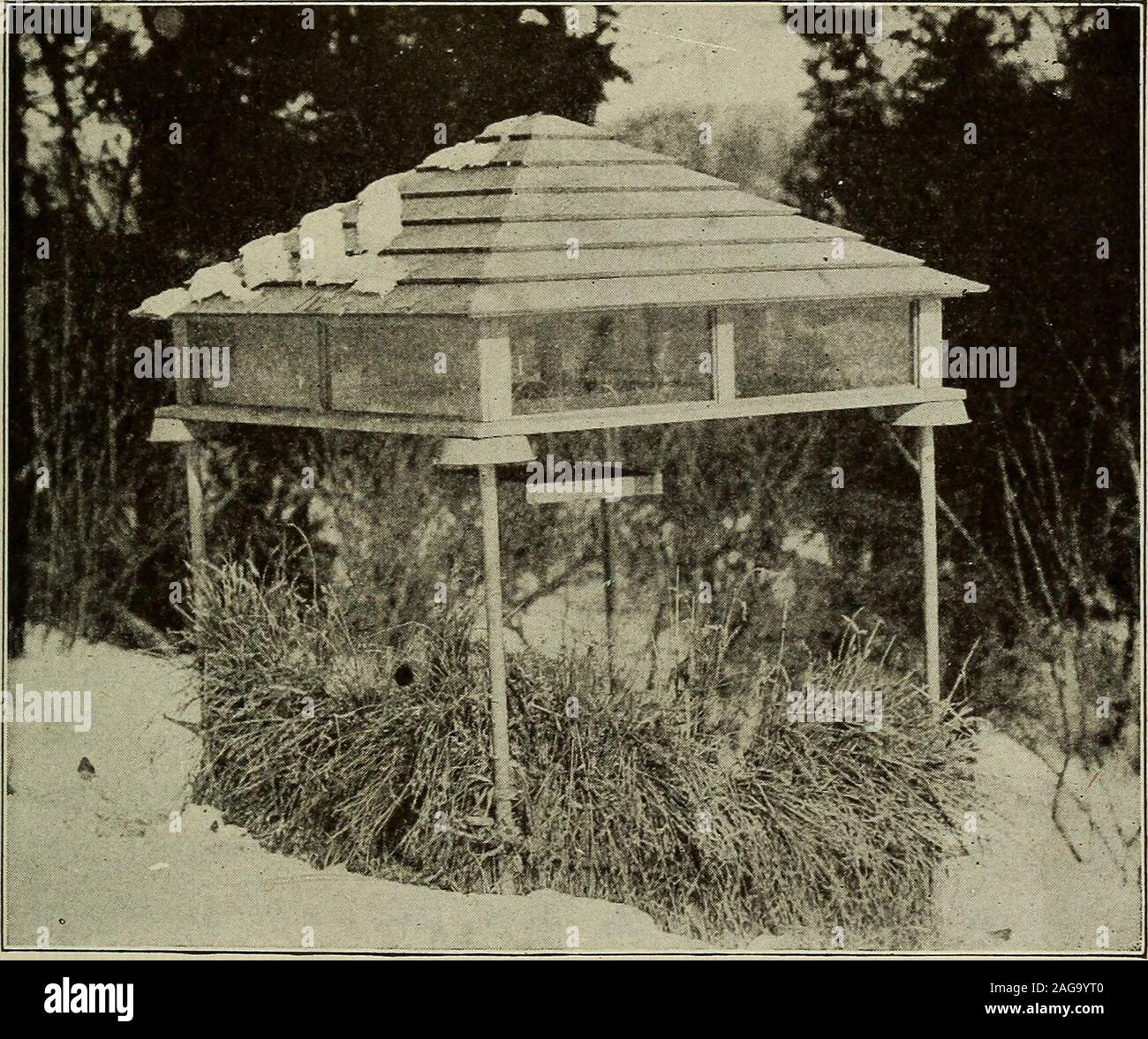 Whitecan hi-res stock photography and images - Alamy