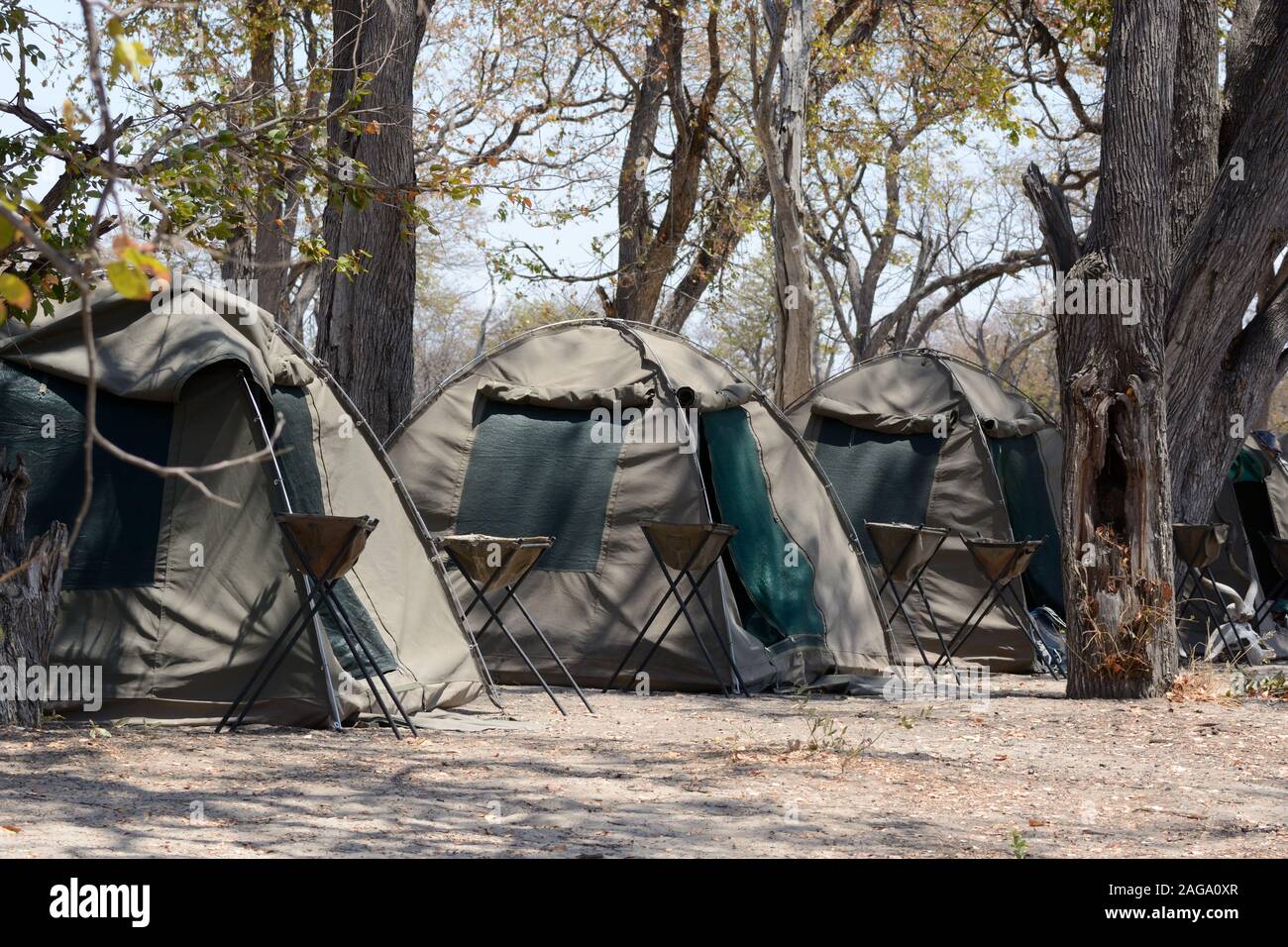 Row of tents for simple camping holiday Moremi National park Botswana