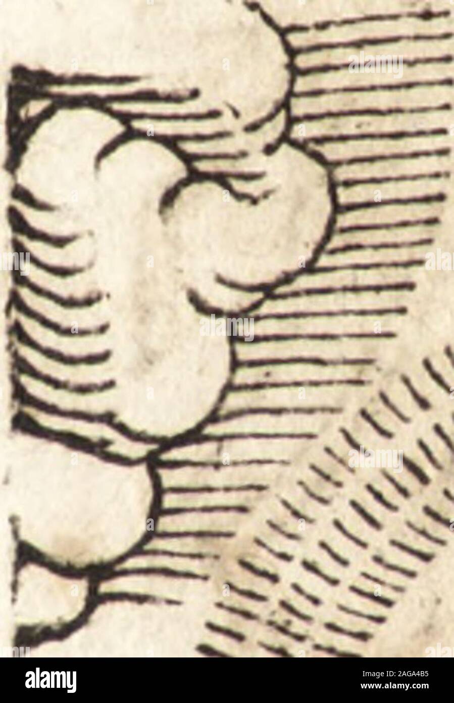 Motum hi-res stock photography and images - Alamy