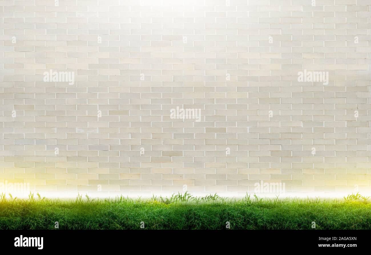 (Background) Dark concrete surface with fog in a beautiful abstract pattern Stock Photo
