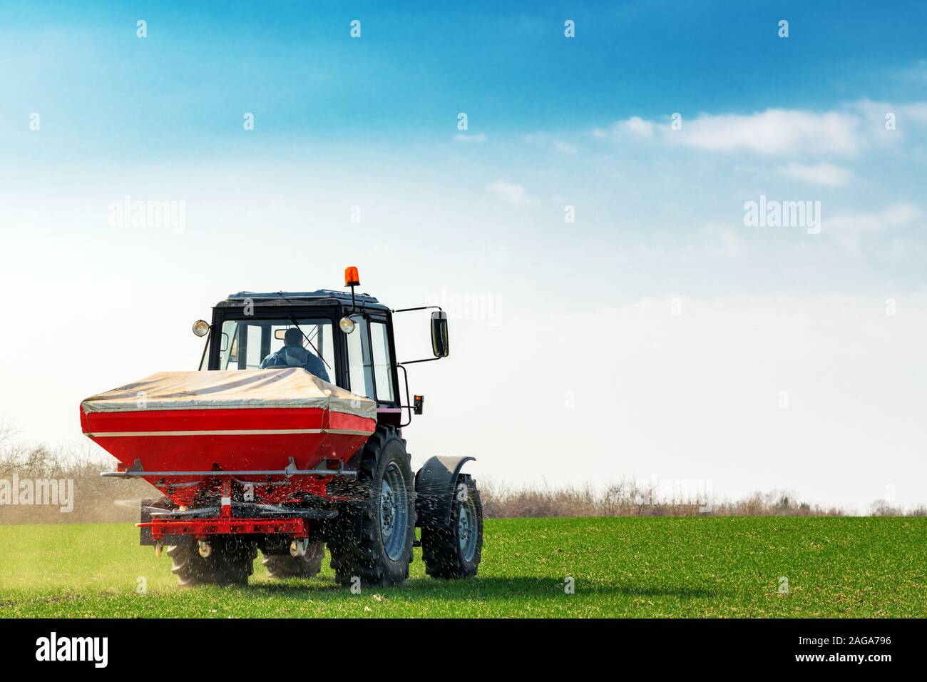 Unrecognizable farmer in agricultural tractor is fertilizing wheat crop field with NPK fertilizer nutrients Stock Photo