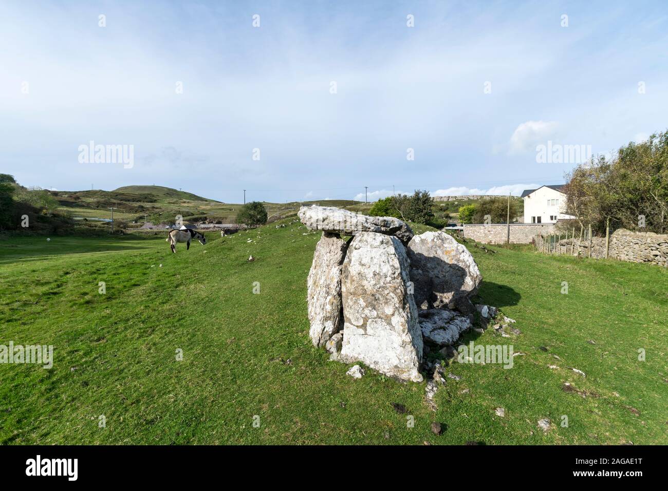 Neolithic Tomb Llety'r Filiast on the Great Ormes Head North Wales coast near Llandudno Stock Photo