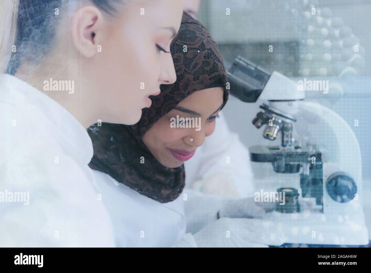 Two multiethnic young female scientists doing experiments in laboratory. Working at lab with test tubes, test or research in clinical laboratory.Scien Stock Photo