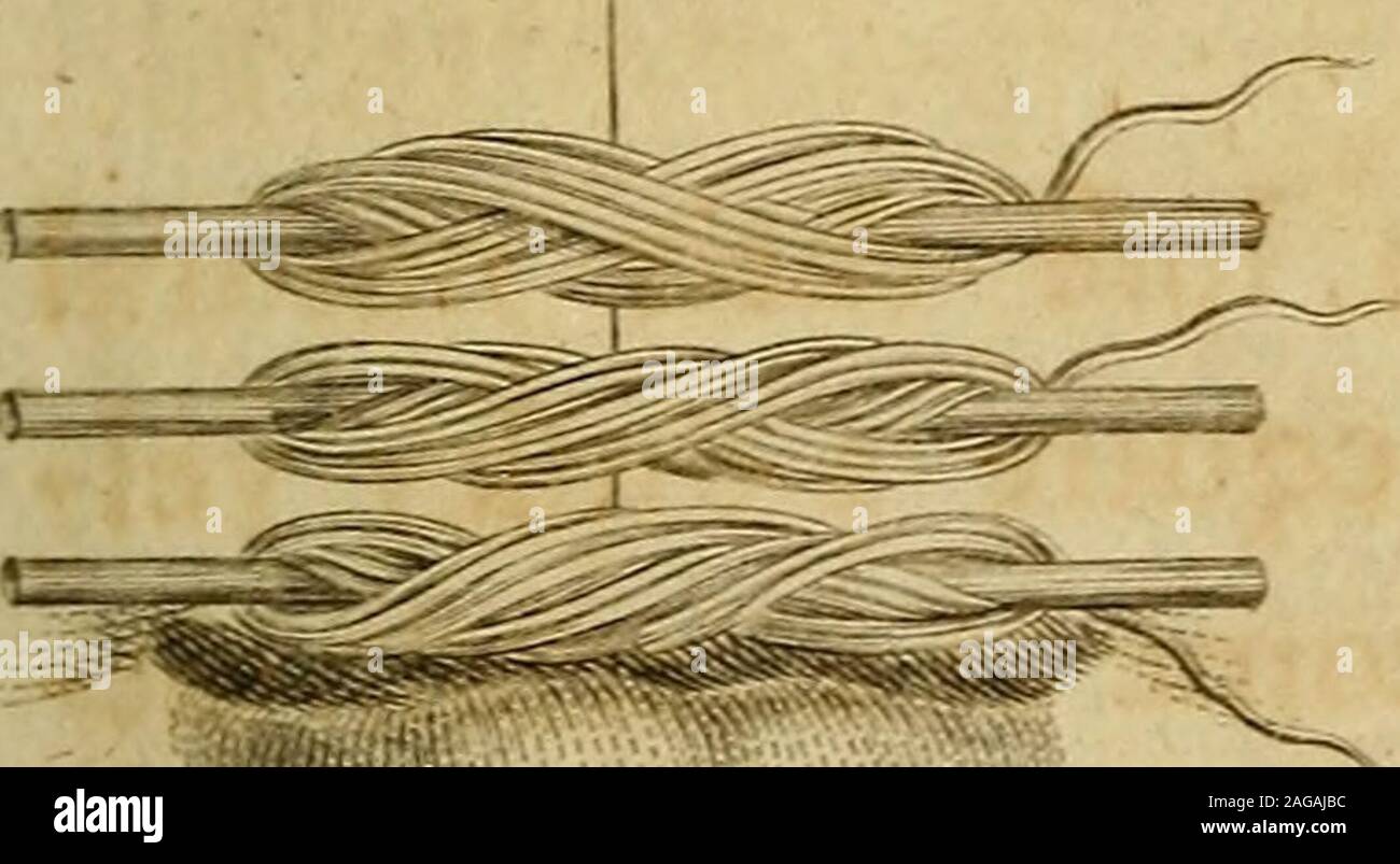 . A system of surgery. FIG. .3 PIG .±. ? i>ii*HI^i^ -i ill Stock Photo ...