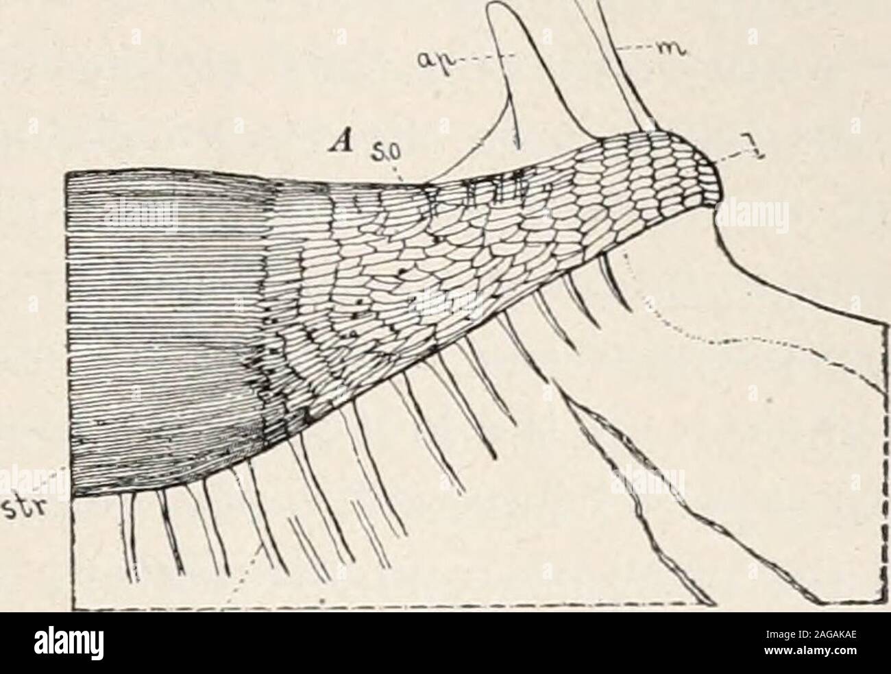 Thefile hi-res stock photography and images - Alamy