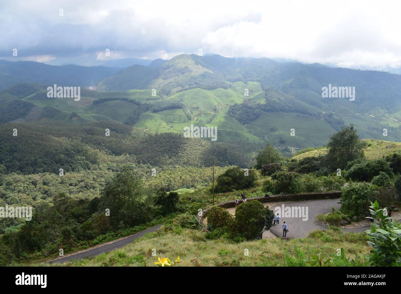 Views of Eravikulam National Park in Munnar Stock Photo