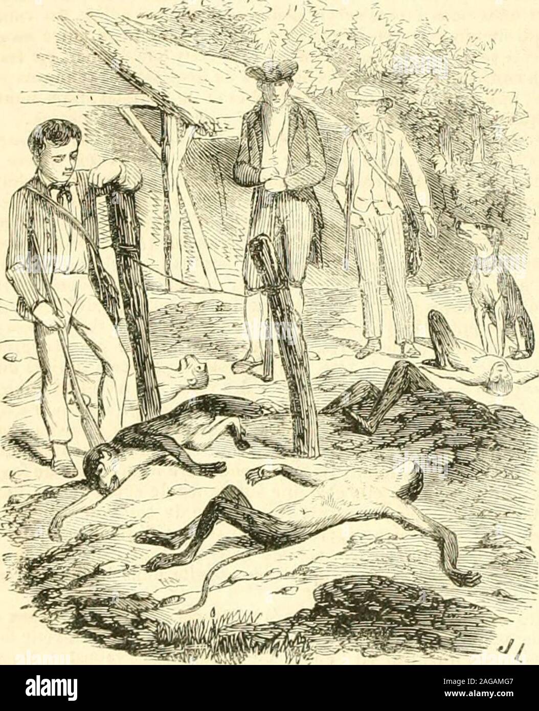 semelles fourrées