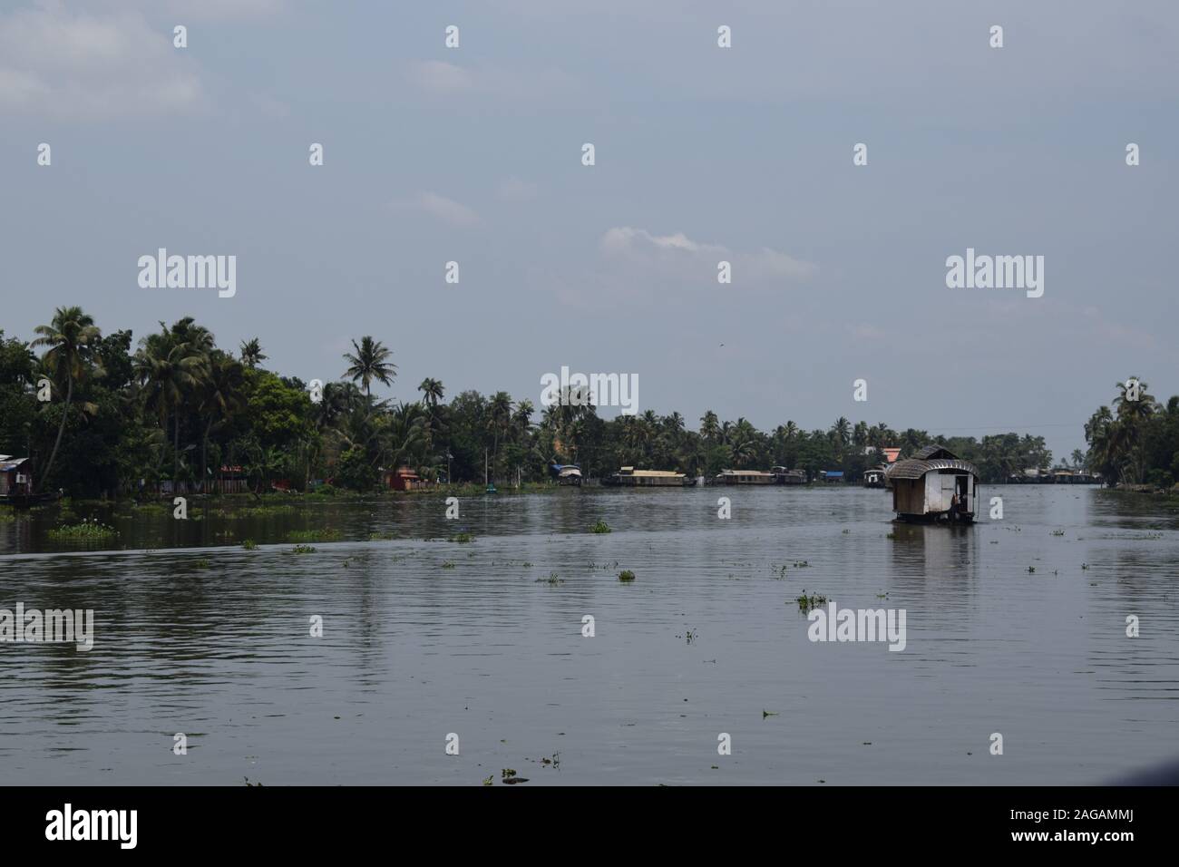 Backwaters in Alleppey Kerala Stock Photo - Alamy