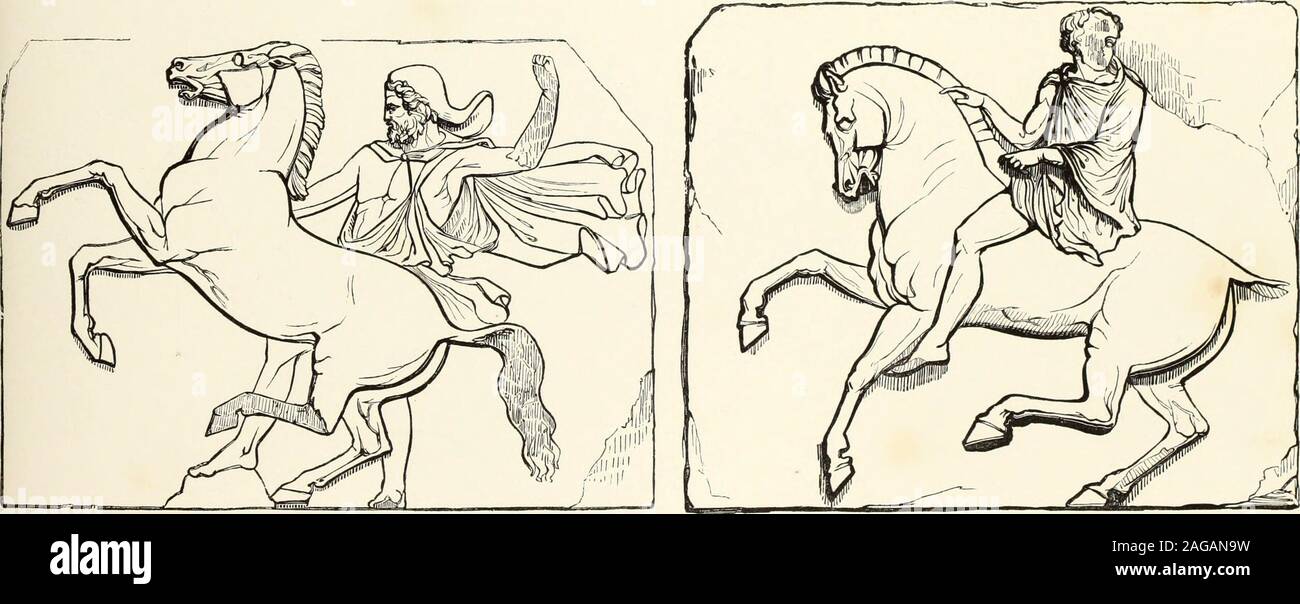 Progressive Drawling . The progressive drawing-book : containing a series of easy and ...