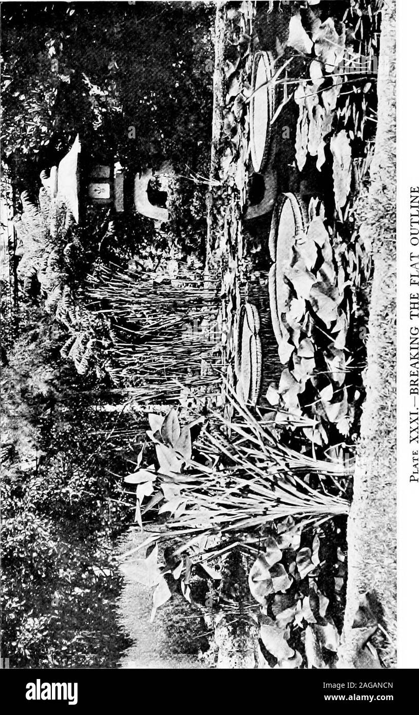 . Water-lilies and how to grow them, with chapters on the proper making of ponds and the use of accessory plants. =3 a :§ s. fl do -a -a S o ems-a I* I—I OJ ^ POND SURROUNDINGS 205 once planted, soon runs over the ground andstones. There is a golden leaved variety.These plants are grown entirely for foliageeffect, but L. clethroides possesses longspikes of white flowers reaching as high asthree feet. The common loosestrife (Lyihrum Sali-caria) is a plant which, though it will growunder even the miost adverse conditions, isvery grateful for moisture. It bears numer-ous tall spikes loaded with w Stock Photo
