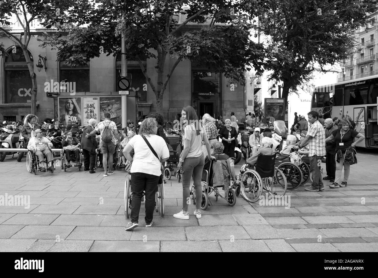Monochrome image of elderly pensioners in their wheelchairs on a day trip to Barcelona. Stock Photo