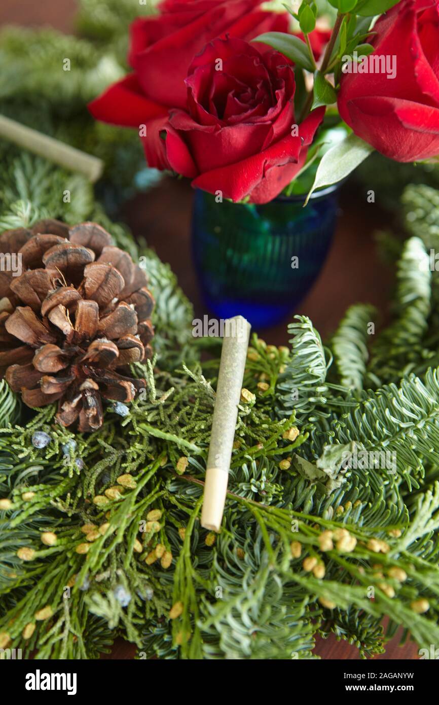 Vertical closeup shot of a marijuana blunt among spruce leavees and red roses Stock Photo