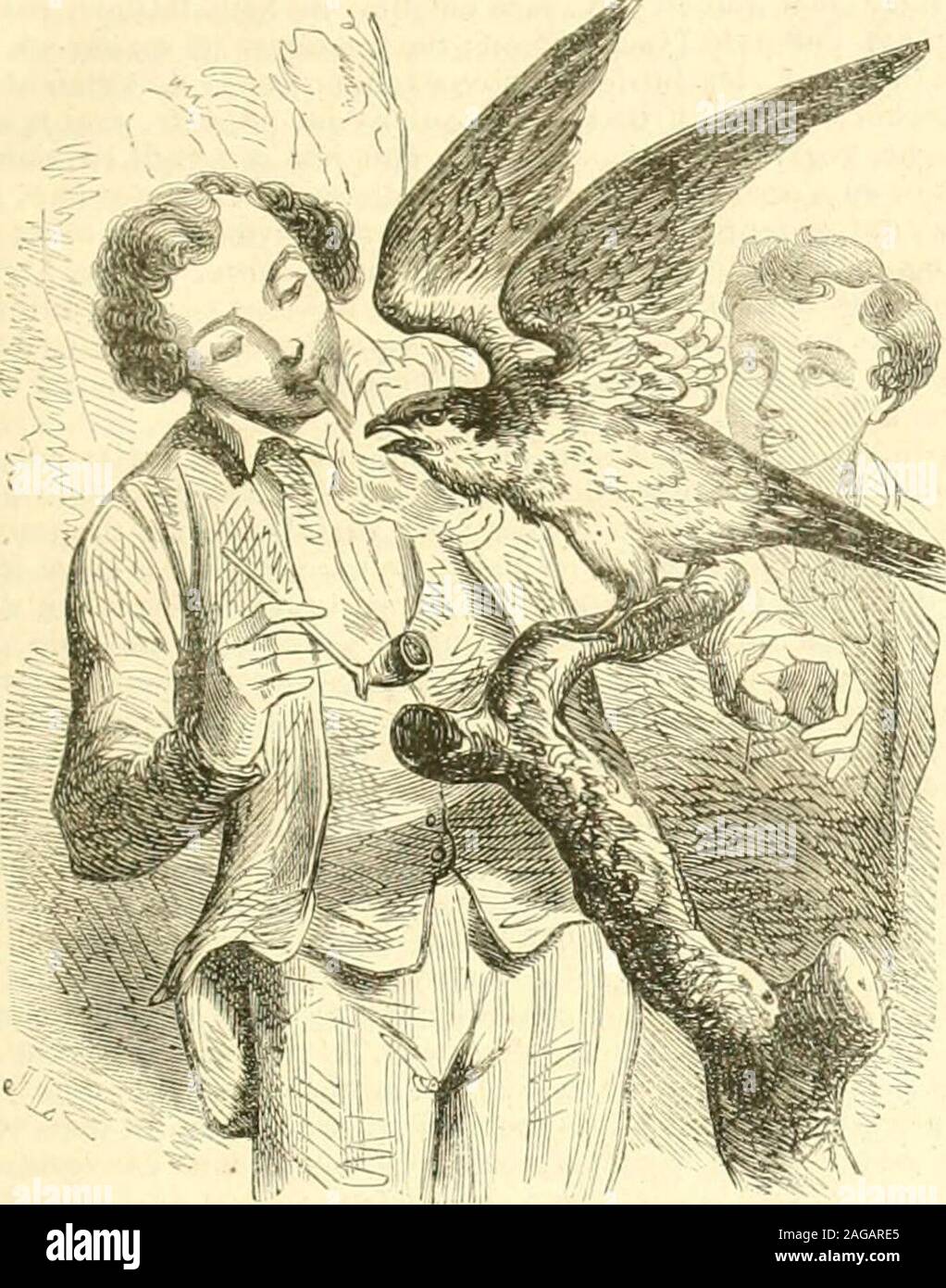 Bookyear1851 Hi Res Stock Photography And Images Page 2 Alamy