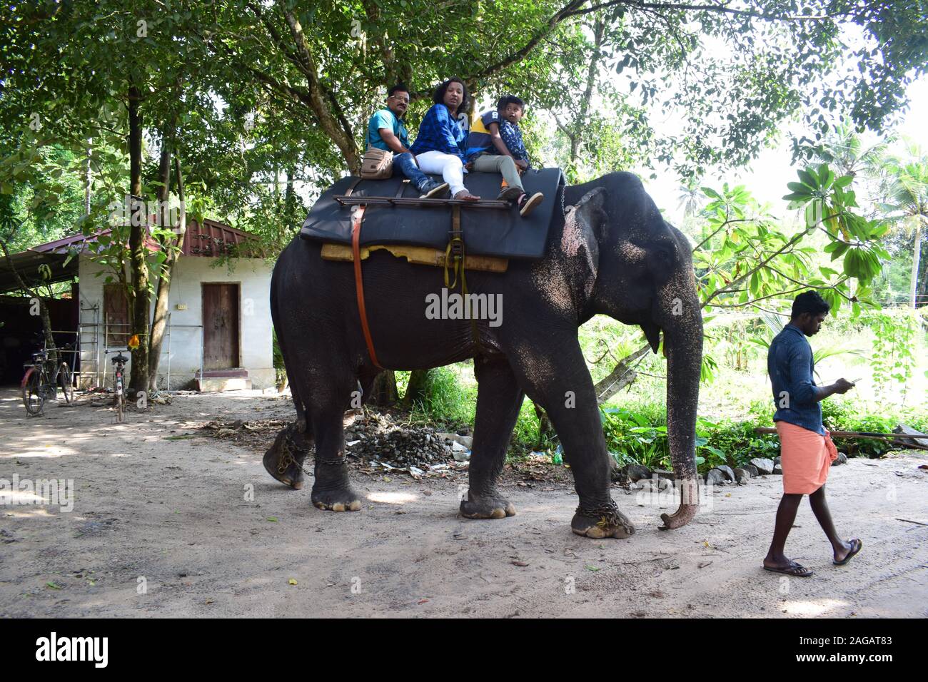 Elephant Ride in Elephant Park Thekkady Stock Photo