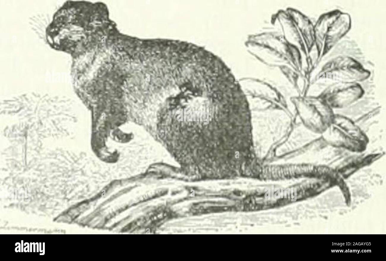 Cloruro High Resolution Stock Photography And Images Alamy