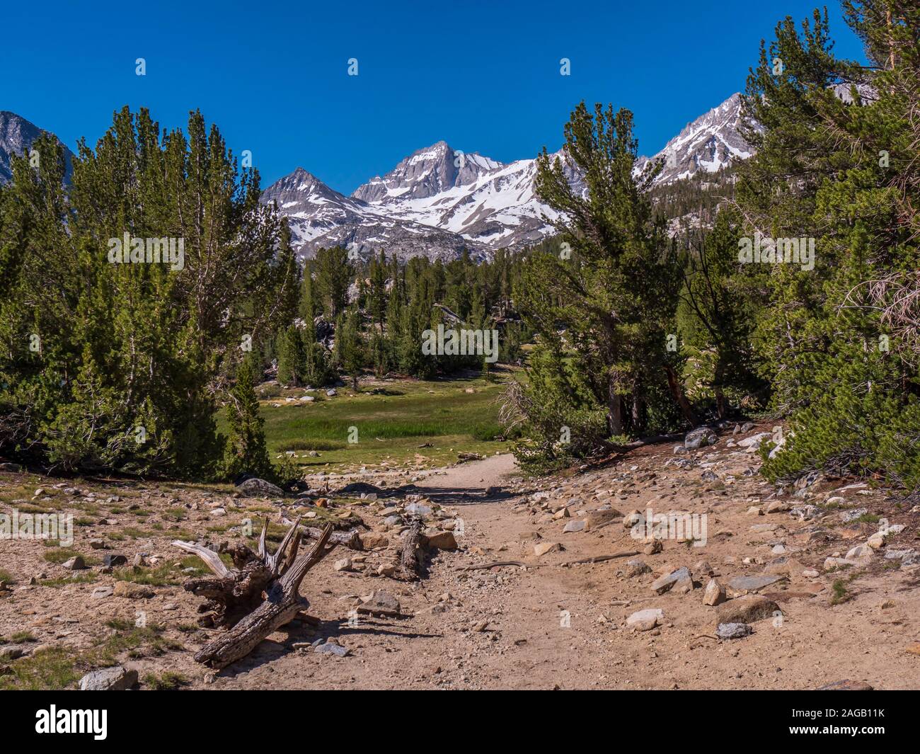 Sierra Nevada peaks from the Lakes Valley Trail, John Muir Wilderness, Inyo National Forest, California. Stock Photo