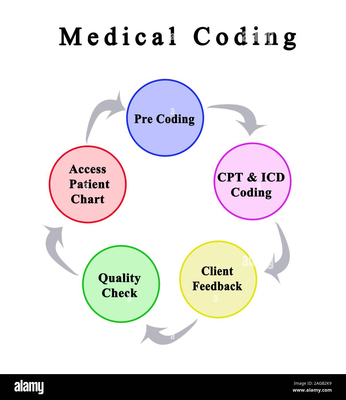 Five Components Of Medical Coding Stock Photo Alamy