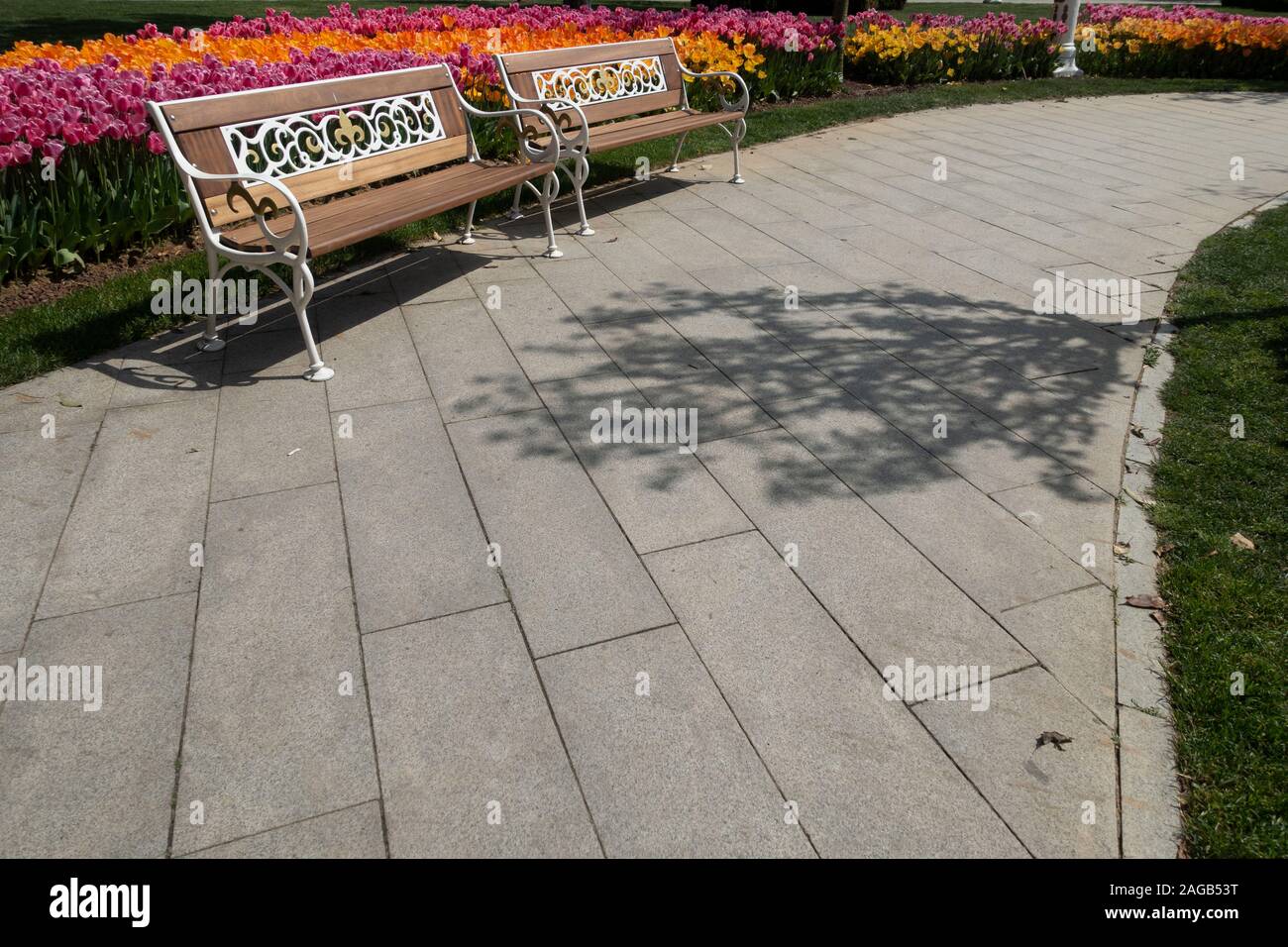 The two empty bench in the park Stock Photo - Alamy