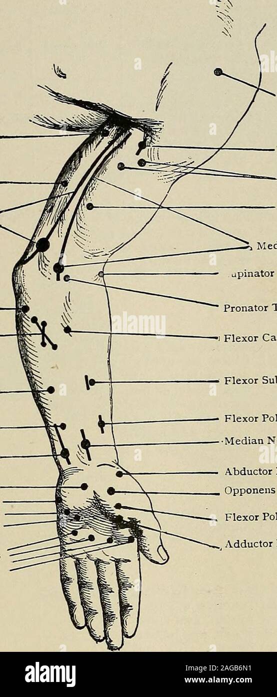 Page 7 G V Sp High Resolution Stock Photography And Images Alamy