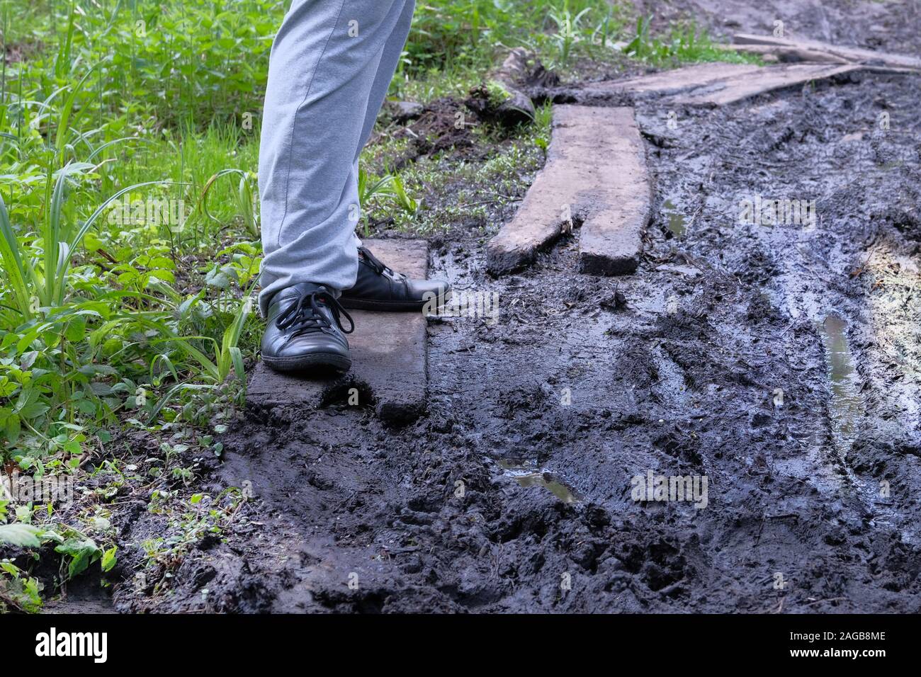 Trails forest hi-res stock photography and images - Alamy