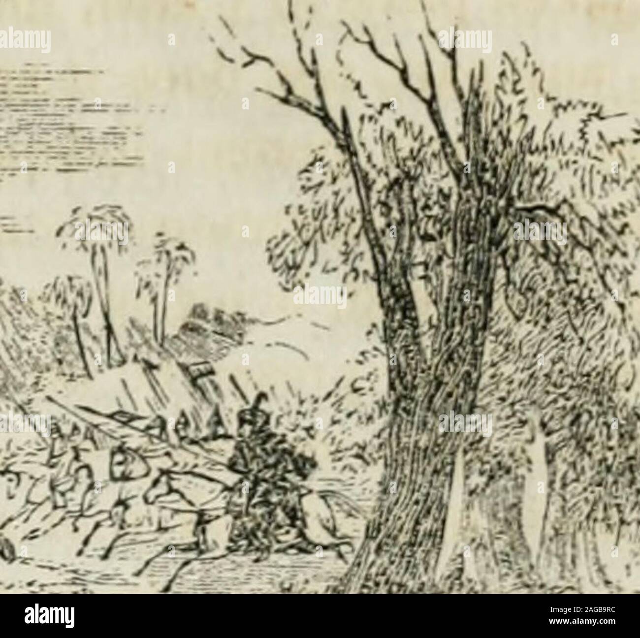 Foreignland hires stock photography and images Alamy