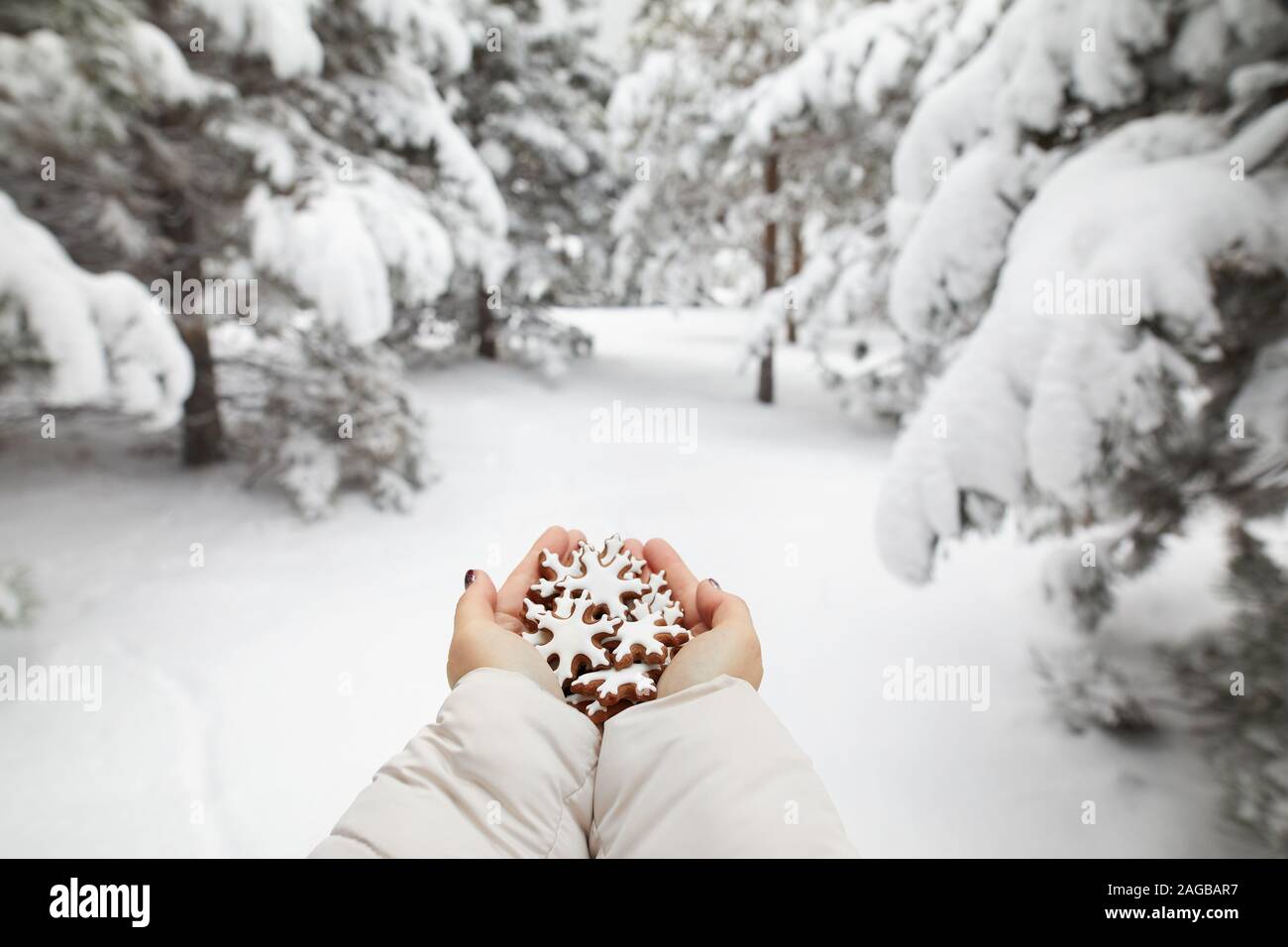 Girl holding ginger bread cookies in winter forest at Christmas time Stock Photo
