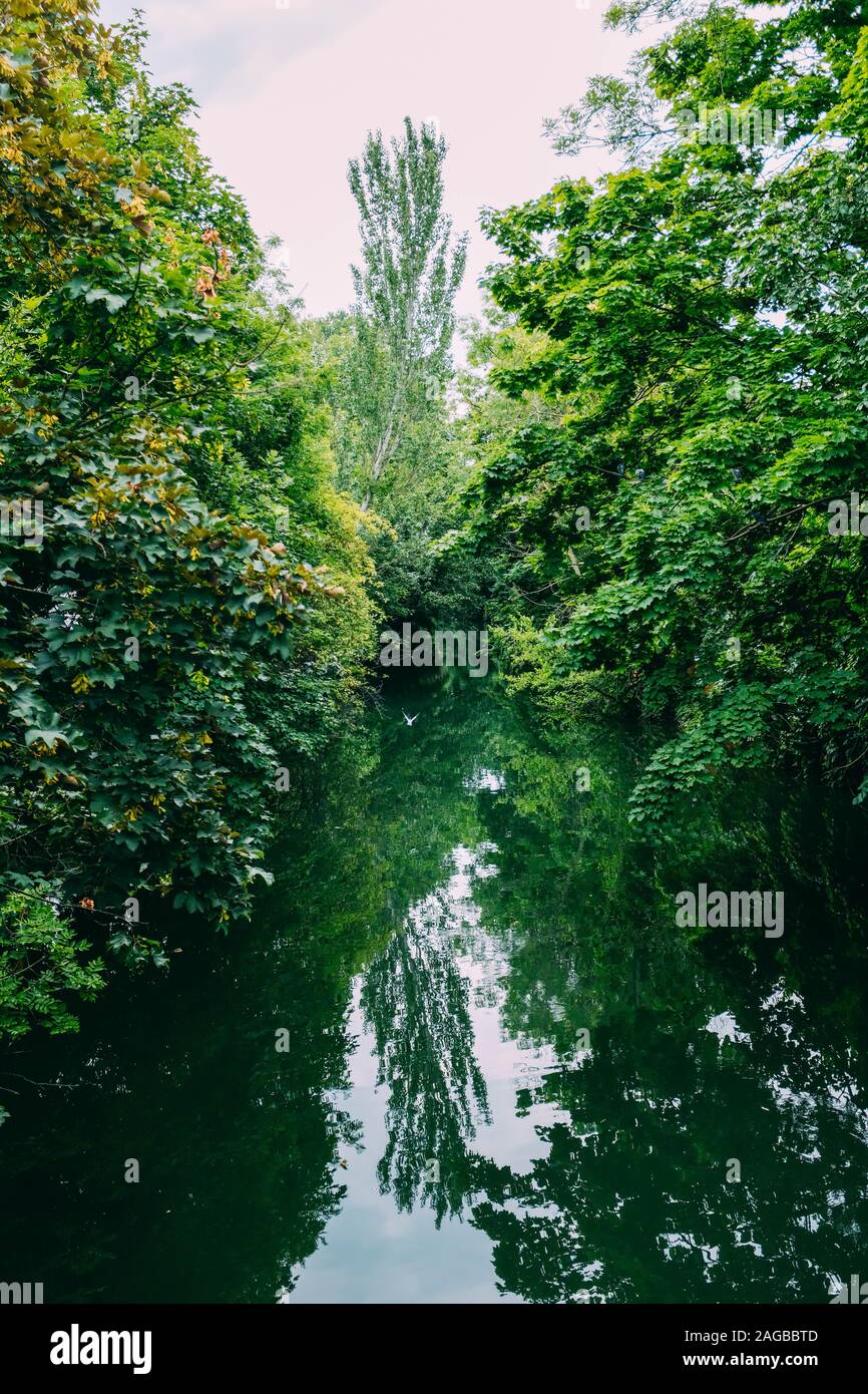 Vertical shot of a mesmerizing green scenery reflecting in the lake ...