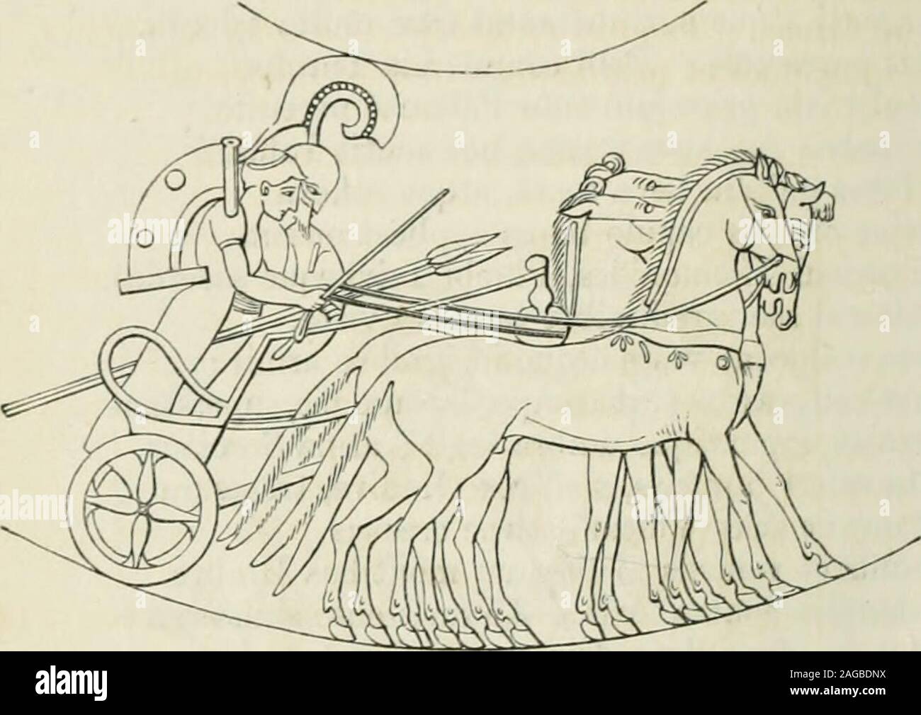 Brachia High Resolution Stock Photography And Images Alamy