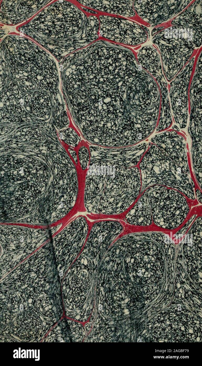 Page 7 Lxxv High Resolution Stock Photography And Images Alamy